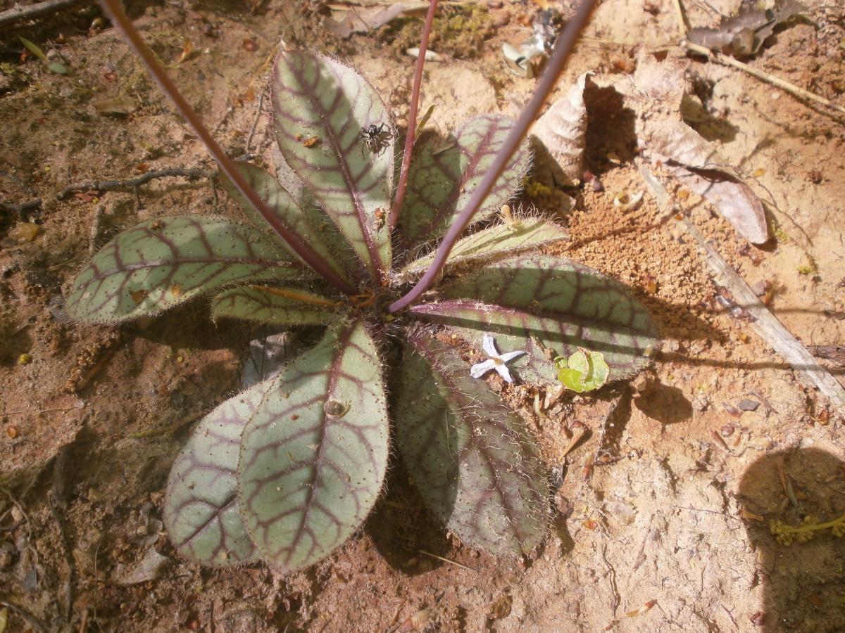 P4240518.JPG