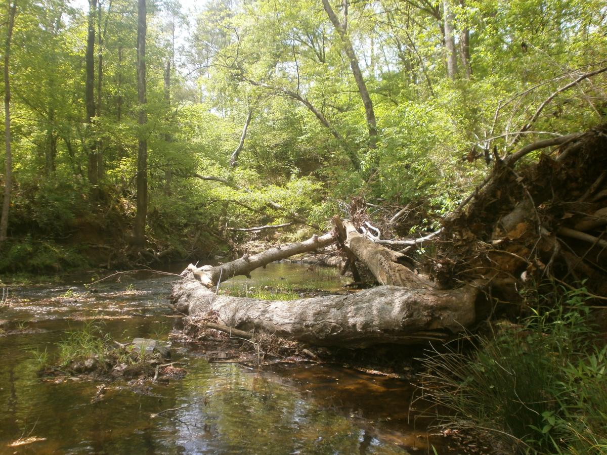 P4240571.JPG