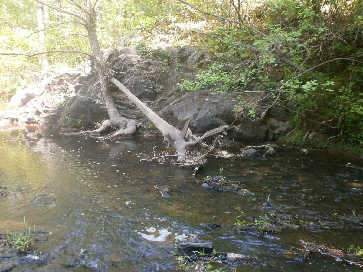 P4240548.JPG