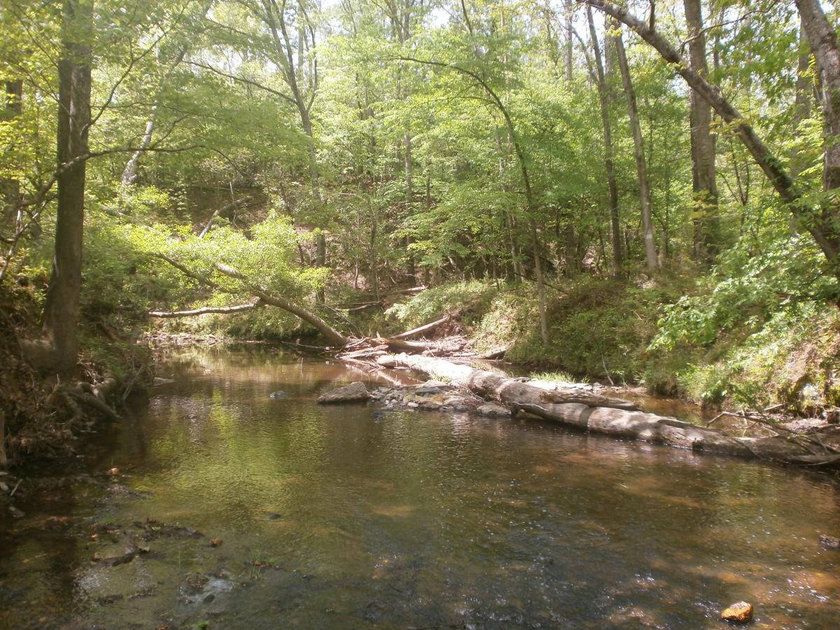 P4240570.JPG