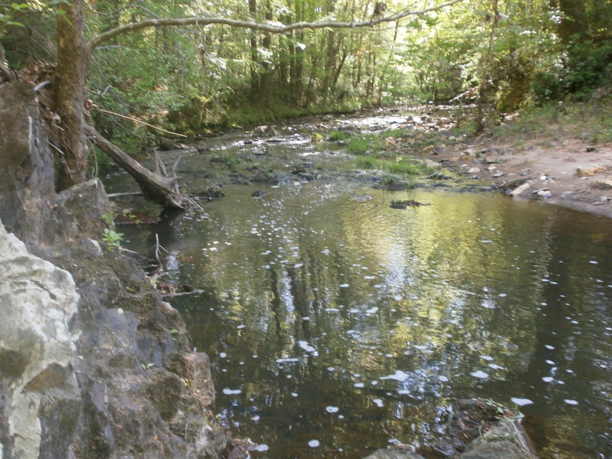 P4240519.JPG