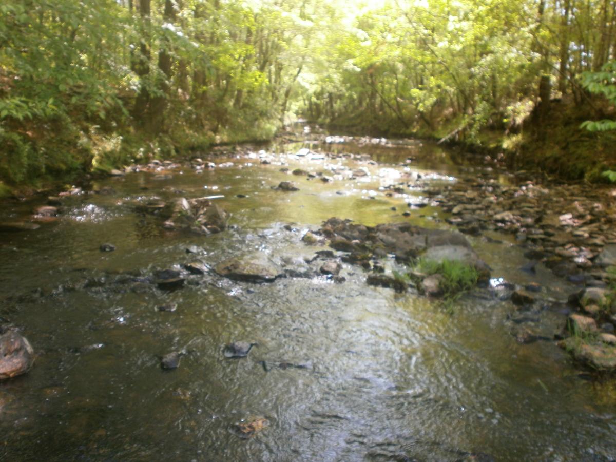 P4240550.JPG