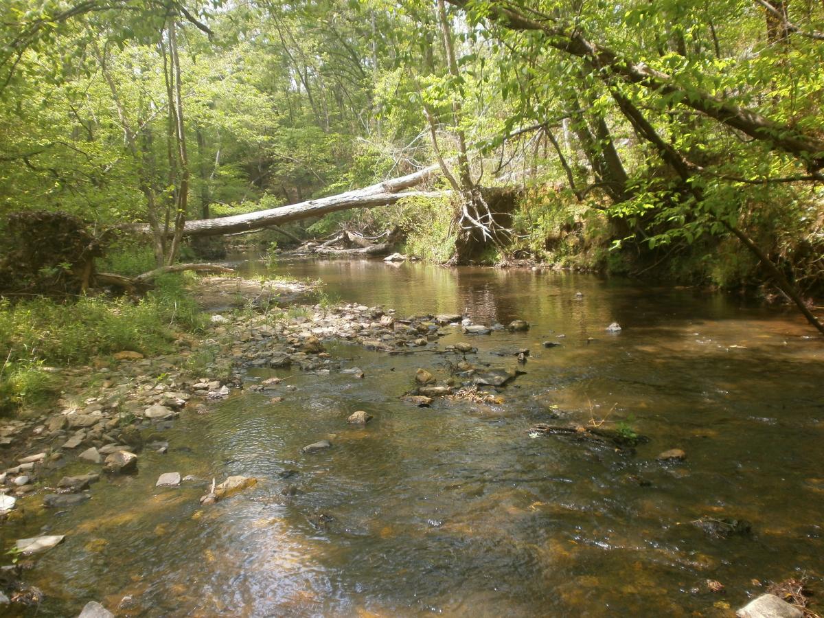 P4240574.JPG