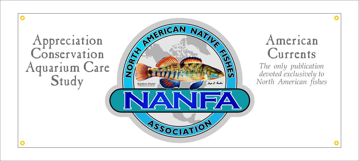 NANFA-Banner-30x72.jpg