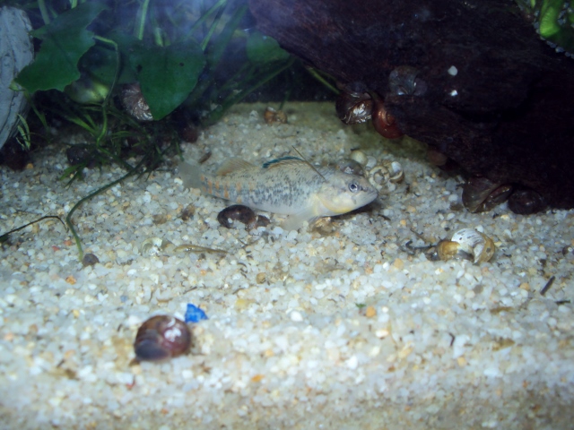 DSC04059 (640x480).jpg