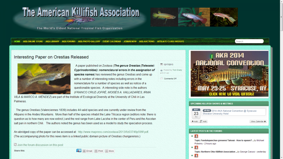 screenshot of AKA website on Dec 28 2013.png